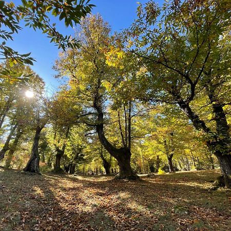 “All'Antica Dogana” Bosco  Εξωτερικό φωτογραφία