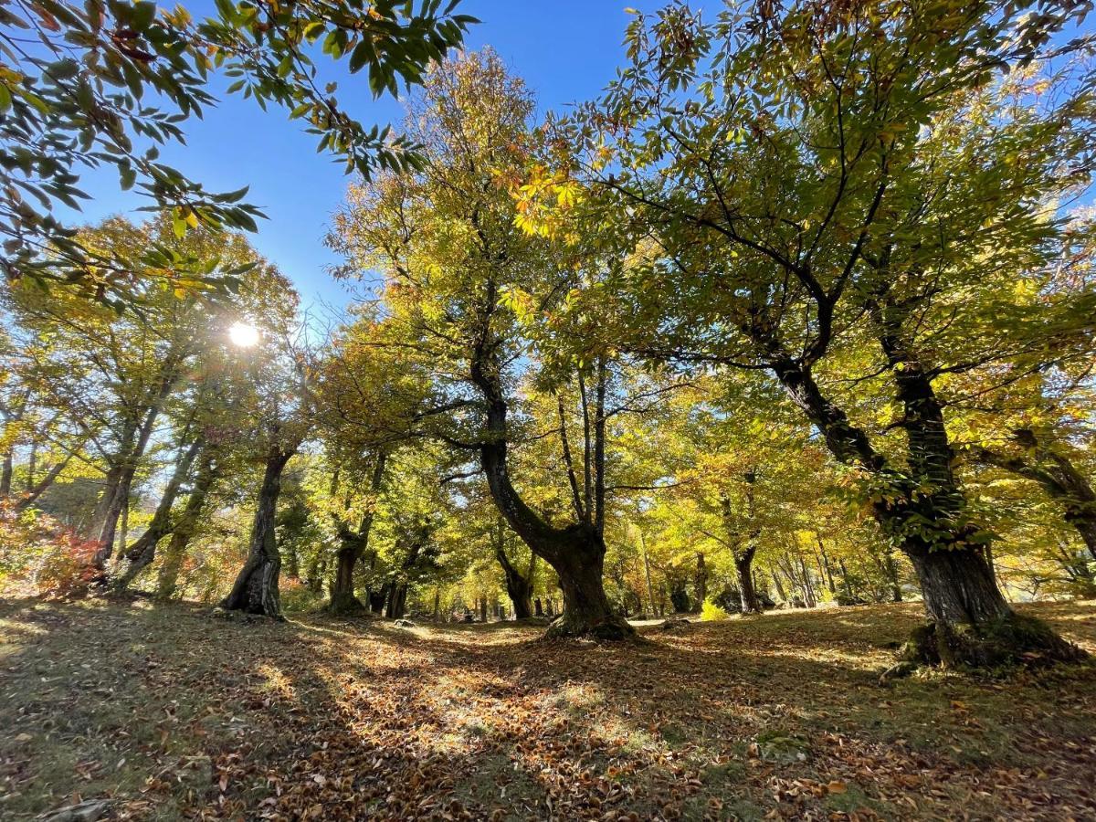 “All'Antica Dogana” Bosco  Εξωτερικό φωτογραφία